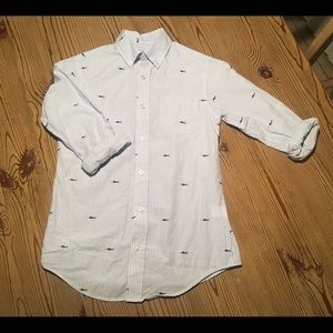 Boys Button Down Dress Shirt, EUC, sz 10/12